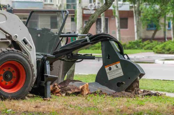 Comment détruire une souche sans produits chimiques - Saint-Denis - KREATIVE